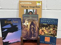 Group shot showing all four book fronts