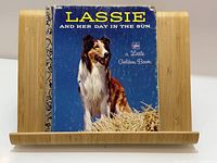 Front view with book showing scale