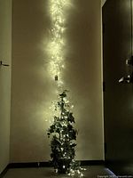 String lights illuminated on plant to demonstrate light color and glow