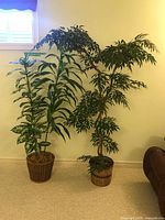 Both artificial plants side by side to show overall appearance and relative heights