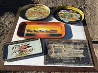 All five trays laid out on table