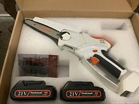 Chainsaw in foam insert with two 21 V batteries and bagged spare chain visible