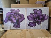 Both framed canvas prints side by side