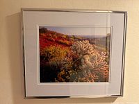 Entire framed artwork on wall