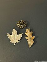 Group shot showing all three brooches: silver-tone maple leaf, gold-tone oak leaf, gold-tone sunburst with black stones