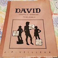 Front cover showing title DAVID and silhouette design