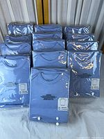 Front view showing 13 sealed baby blue onesies