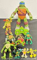Full lot overview showing all 13 TMNT pieces laid out