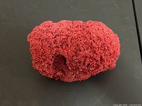 Top view of entire red coral specimen showing tubular structure