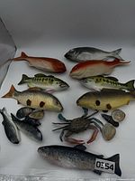 Group shot showing all fish, crab and shells