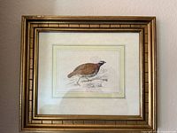 Framed print on wall showing complete frame and mat