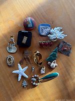 All 16 pins and brooches arranged on surface