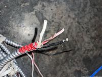 Close-up of cut end showing black, red and white conductors