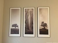All three framed photographs hung on wall