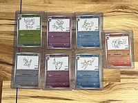 Seven Yu Nagaba Pokémon promo cards in holders