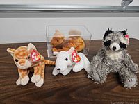 Group shot of three Beanie Babies in front of plastic box containing camel