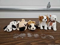 Front view of five Ty dog plush with tag protectors