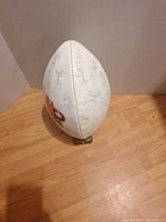White panel of football showing numerous blue signatures