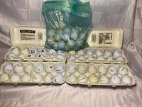 Golf balls in three open Styrofoam egg cartons with additional blue practice balls in a zip bag