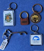 All five keychains displayed on blue background
