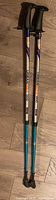 Full view of the pair of Urban Pole 300 walking poles