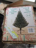 Box lid showing Canadian Pine Christmas Tree F-3 label