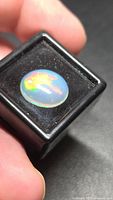 Oval Ethiopian opal in black display box showing multi-colour play-of-colour