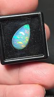 Pear-shaped opal in display box showing multicolor play-of-color