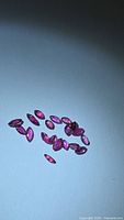 Group of small marquise-cut rubies on light surface