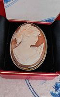 Close view of cameo brooch showing carving detail, silver bezel and gold twisted wire border