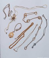 Overview of all chains, pendants and brooch on white background