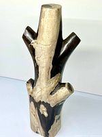 Front view showing polished branch with dark outer areas and lighter core