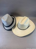 Two hats side by side showing overall styles and colors