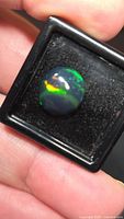 Front view of Ethiopian black opal in display box showing play-of-color