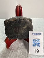 Front view of fossilized vertebra on stand with size reference card