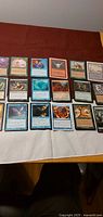 Overall view of 18 Magic: The Gathering cards laid out on table