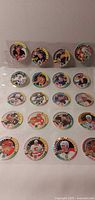 Full view of 20 NHL pogs in plastic sleeve