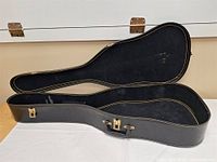 Case open showing interior lining and overall shape