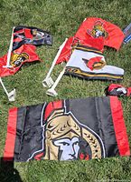 All flags and folded umbrella laid on grass