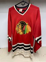 Front view of jersey displaying embroidered crest and stripe details