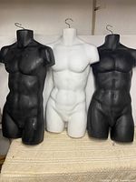 Front view of all three male torso mannequins