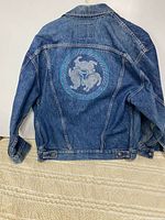 Full back view of denim jacket showing embroidered design and overall condition