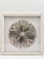 Front view of framed circular folded map art in shadowbox