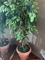 Full view of faux Ficus tree in pot