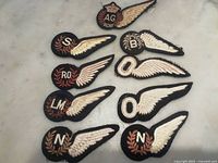 All nine RCAF half-wing badges laid out