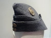 Left side view of RAF wool wedge cap, showing badge and brass buttons