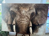 Front view of entire elephant painting on easel