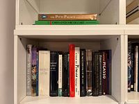 Shelf with The Pitti Palace Collection and lower row of assorted art books including The Musee d'Orsay, National Gallery of Art, Picasso, etc.