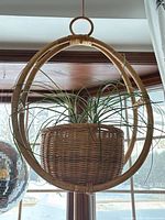 Full view of rattan hanging planter with plant shown for scale