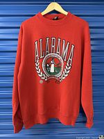 Full view of red sweatshirt on hanger showing front graphic and overall condition